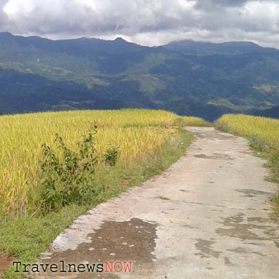 Rice terraces and mountains at Hoang Su Phi, Ha Giang, Vietnam