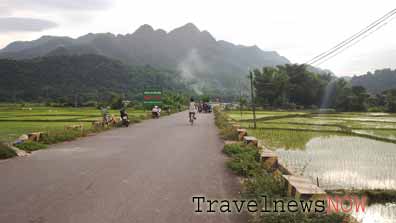 A road amid rice fields