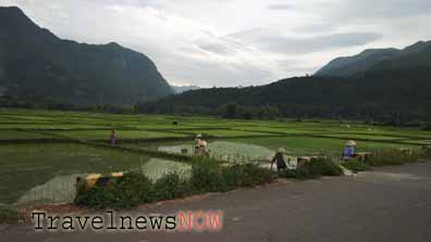 Transplanting rice at Mai Chau