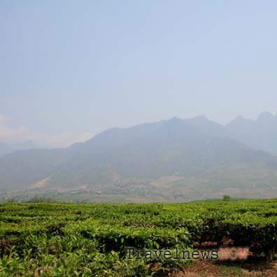 Mount Pu Ta Leng, Lai Chau