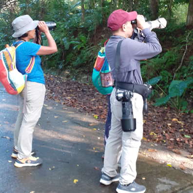 Vietnam Birds & Bird-Watching