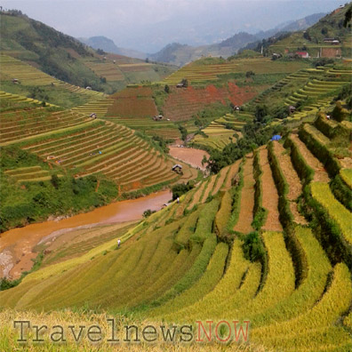 Golden rice terraces at Mu Cang Chai