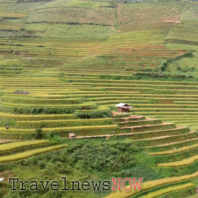 Rice terraces at Che Cu Nha, Mu Cang Chai, Yen Bai