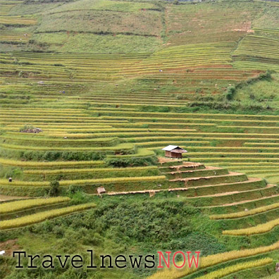 Rice terraces at Che Cu Nha, Mu Cang Chai, Yen Bai