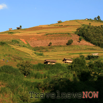 Golden rice terraces in the sky at Che Cu Nha, Mu Cang Chai, Yen Bai, Vietnam
