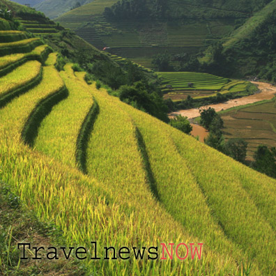 Golden rice terraces at Mu Cang Chai, Yen Bai, Vietnam