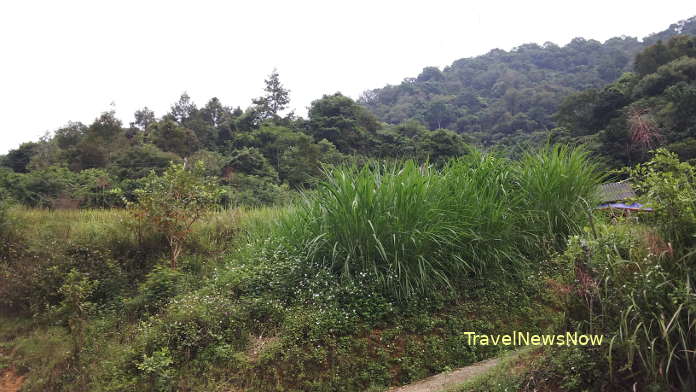 Mount Tron Tron (Troc Nga) at Dong Khe which marks brutal battles back in time