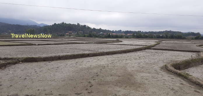 Rice fields and Black Thai villages at Muong Phang