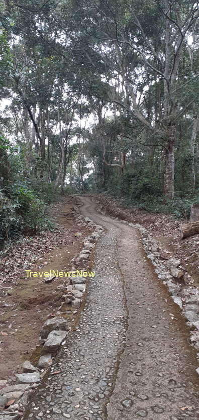 A footpath amid the forest at Viet Minh's former Headquarters