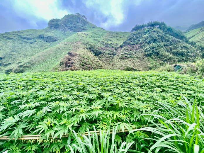 Mountains at Du Gia, Yen Minh, Ha Giang, Vietnam