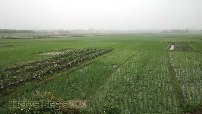 Hai Phong on a rainy day in March