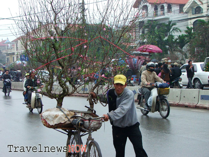 tet vietnam 2020