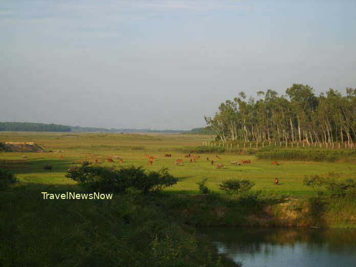 Idyllic countryside at the base of the Ba Vi Mountain