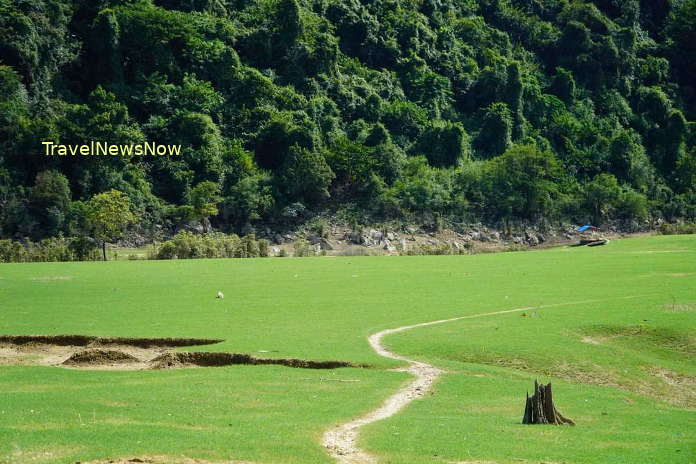 Green pasture at Dong Lam