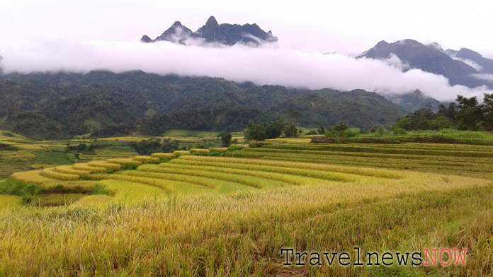 Rice terraces at Bat Xat, Lao Cai, Vietnam