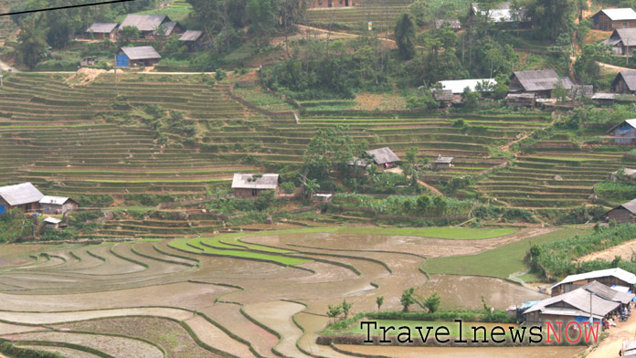 Rice terraces near Ta Van Sapa