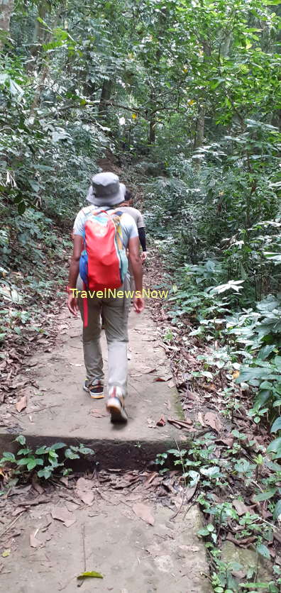 Path to the One-thousand-year-old Tree at Cuc Phuong National Park, Vietnam