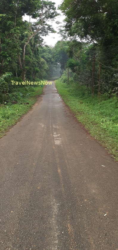 The lovely path to the Rescue Centers at Cuc Phuong National Park