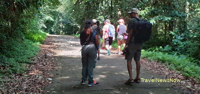 Learning about different plant species or colorful butterflies at the Cuc Phuong National Park is a great experience