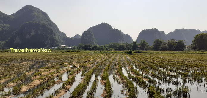 Thung Nham Bird Valley is a good place for bird watching