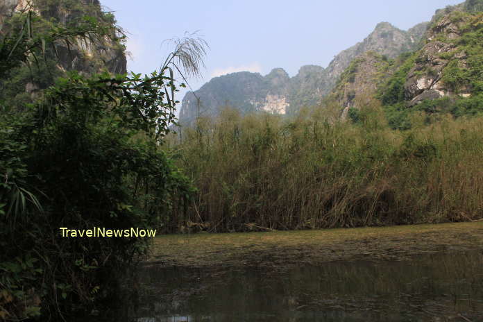 Van Long offers several wild bird species, especially water birds and the critically endangered White-Shanked Langurs