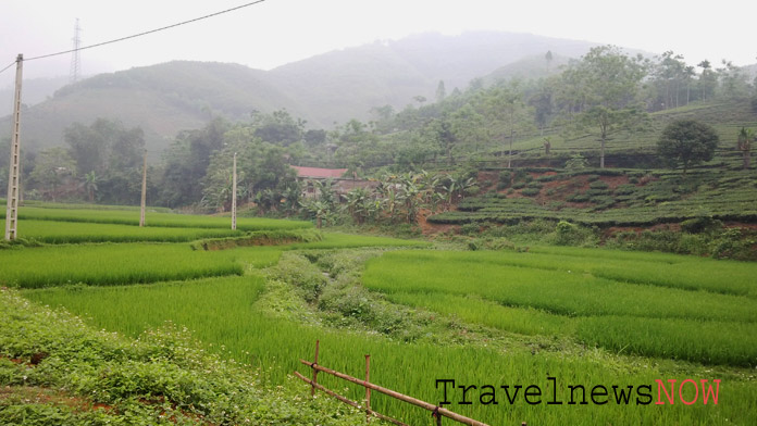 Green mountains at Tan Son, Phu Tho