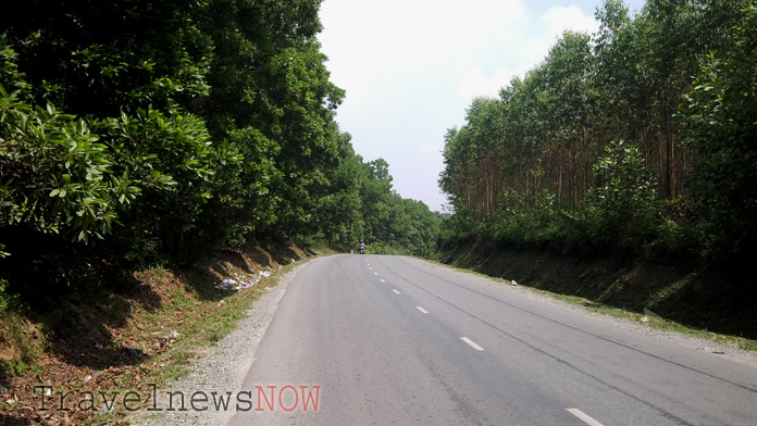 Road through a forest at Thanh Son, Phu Tho