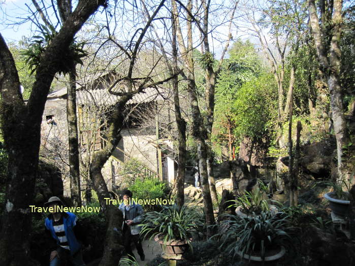 Orchid garden at the Ham Rong Mountain in Sapa