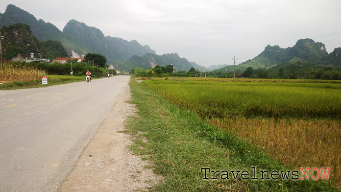 Rice fields at Thai Nguyen Vietnam