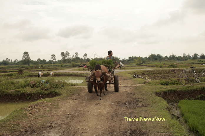 Beautiful country life at the Ho Family Citadel in Vinh Loc District, Thanh Hoa Province