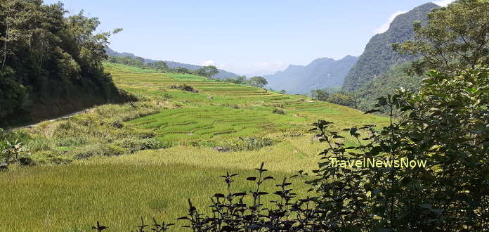 Rice terraces at the Pa Ban Village at Pu Luong