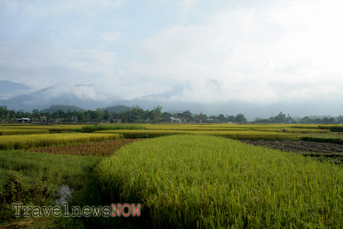 Bucolic landscape at Tam Dao, Vinh Phuc, Vietnam