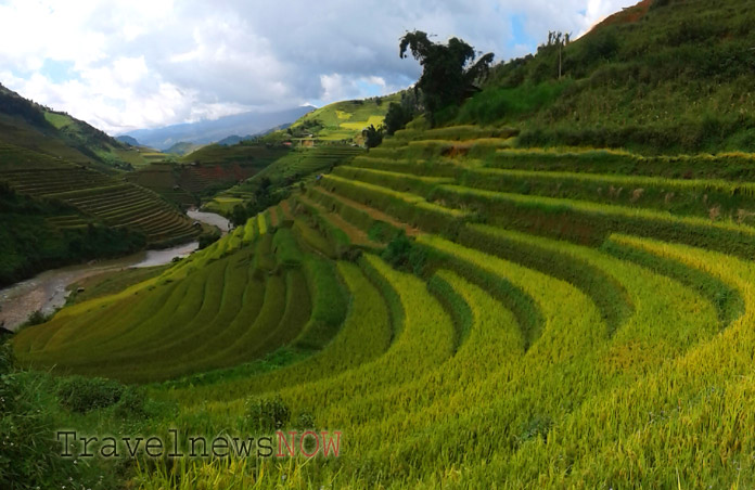 Rice terraces Mu Cang Chai, Yen Bai, Vietnam