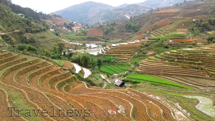 Flooded terraces at Mu Cang Chai Yen Bai Vietnam