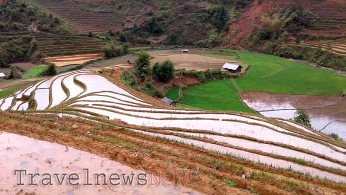 Mu Cang Chai rice terraces