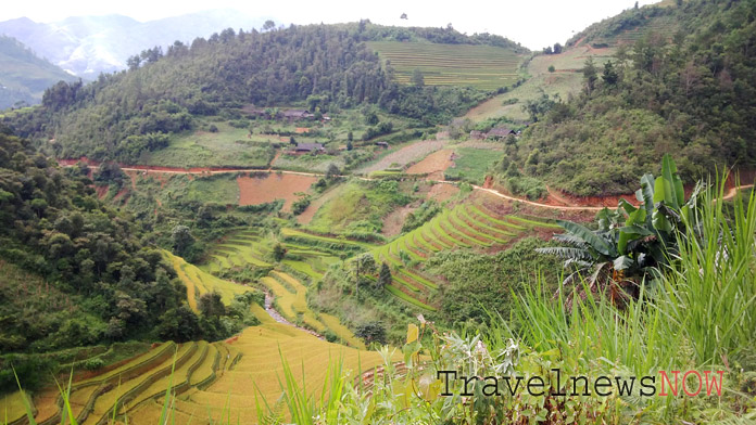 A scenic trekking trail at Mu Cang Chai