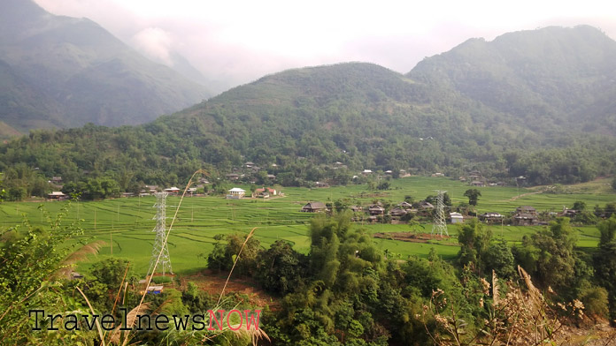 Rice terraces at Tram Tau