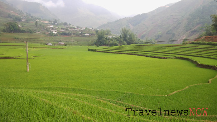 A visually appealing landscape at Xa Ho Tram Tau