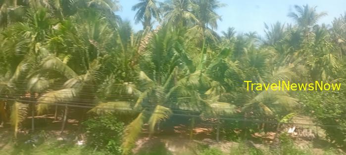 Travel guide to Binh Dinh, Vietnam