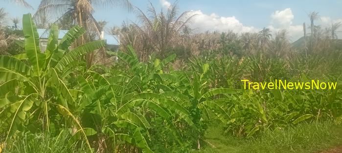 Travel guide to Binh Dinh, Vietnam