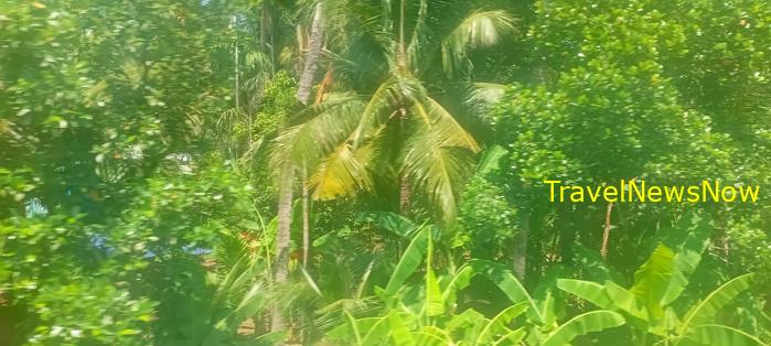 Travel guide to Binh Dinh, Vietnam