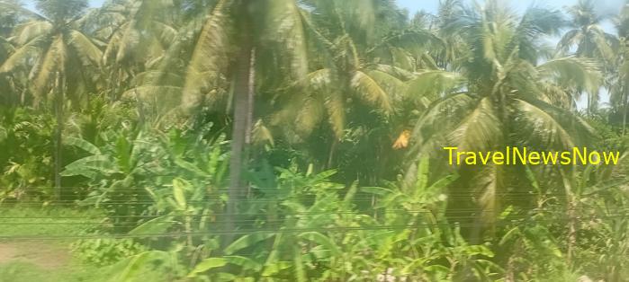 Travel guide to Binh Dinh, Vietnam
