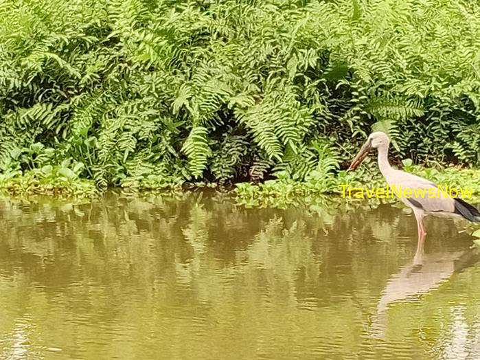 Most popular bird watching sites in Vietnam, Vietnam