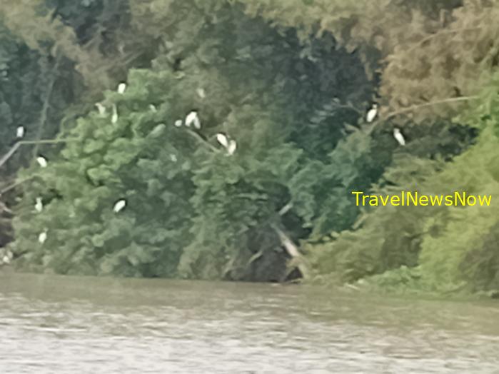 Most popular bird watching sites in Vietnam, Vietnam