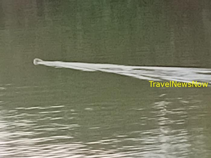 Most popular bird watching sites in Vietnam, Vietnam