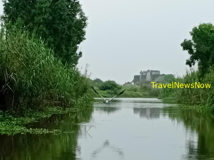 Most popular bird watching sites in Vietnam, Vietnam