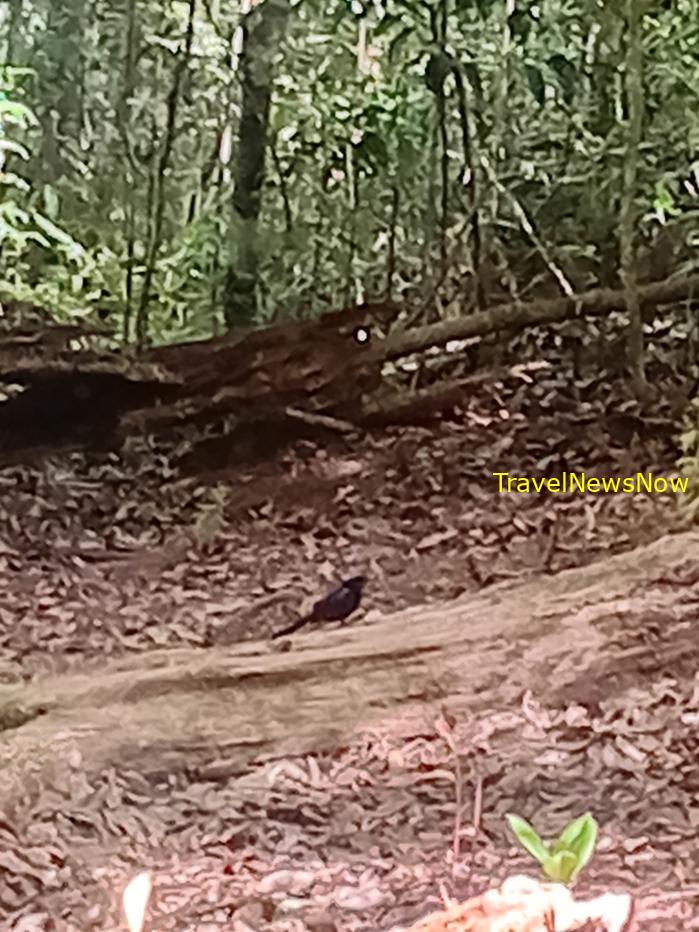 Most popular bird watching sites in Vietnam, Vietnam