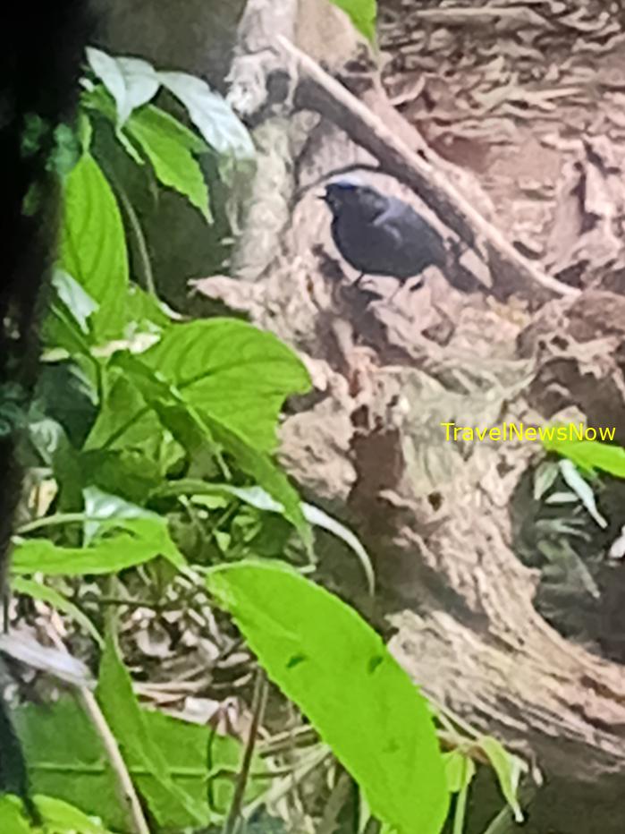 Most popular bird watching sites in Vietnam, Vietnam