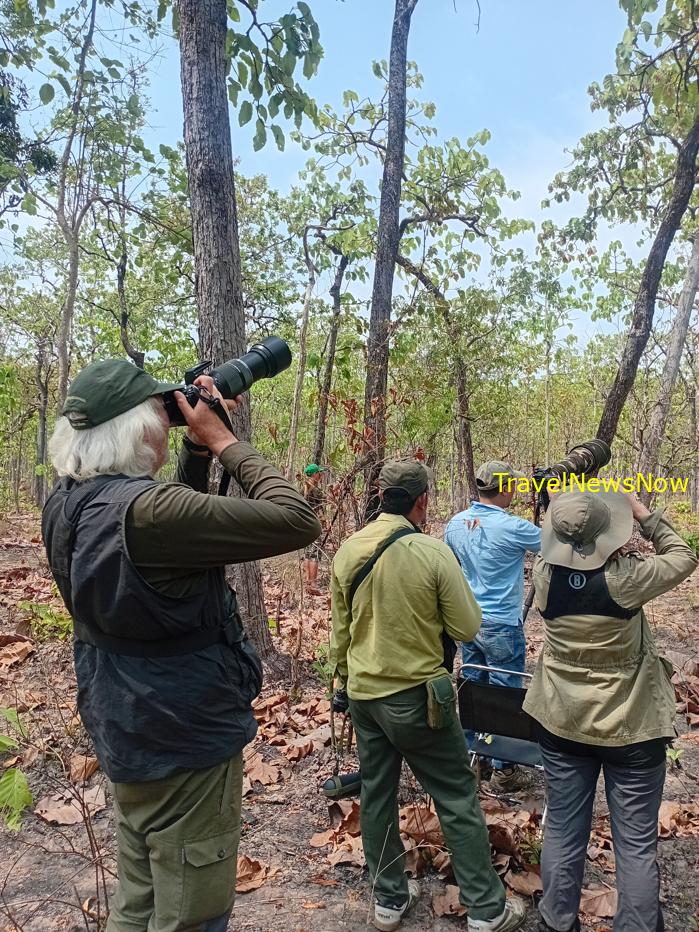 Most popular bird watching sites in Vietnam, Vietnam