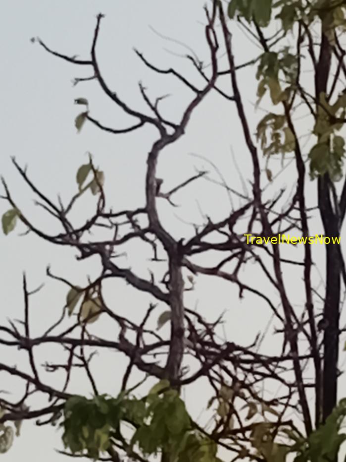 Most popular bird watching sites in Vietnam, Vietnam